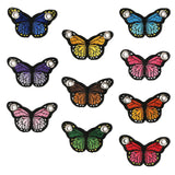 One Stop Large Embroidered Butterfly (Single)
