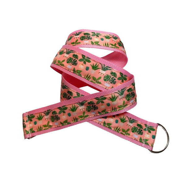 One Stop Skate Strap / Potted Plant